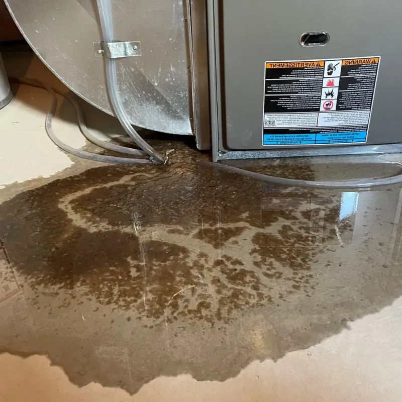 Pipe Burst and Leak Restoration in Cidra, PR